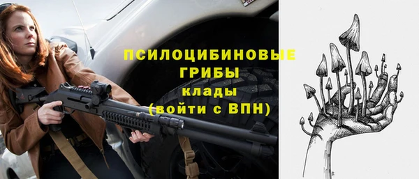 соль ск Алзамай