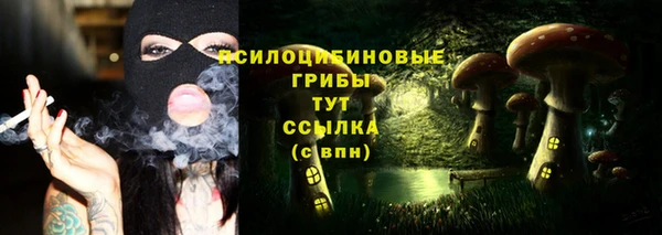 гидра Алексеевка