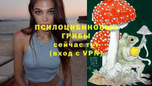 соль ск Алзамай