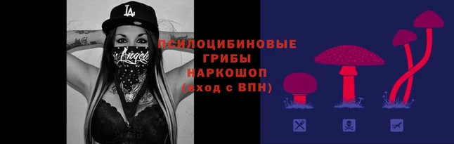 а пвп мука Алексин