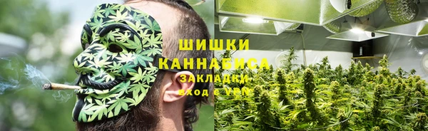 соль ск Алзамай