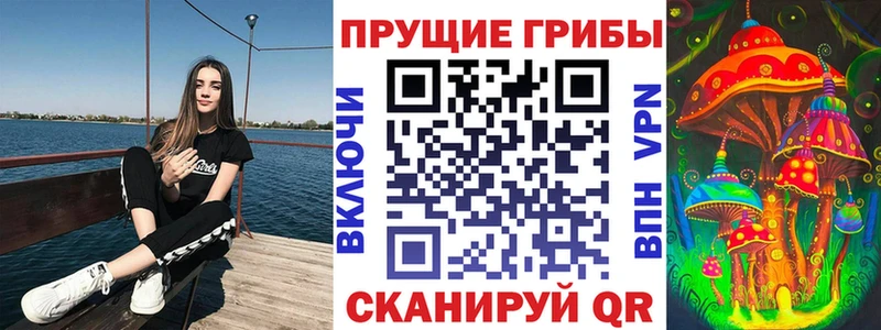 shop формула  продажа наркотиков  Десногорск  Галлюциногенные грибы прущие грибы 